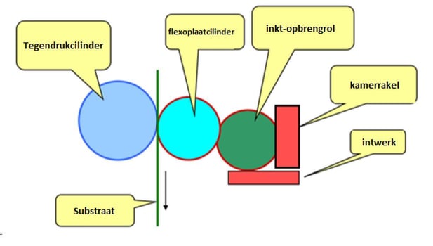 Schema anilox Miller Graphics